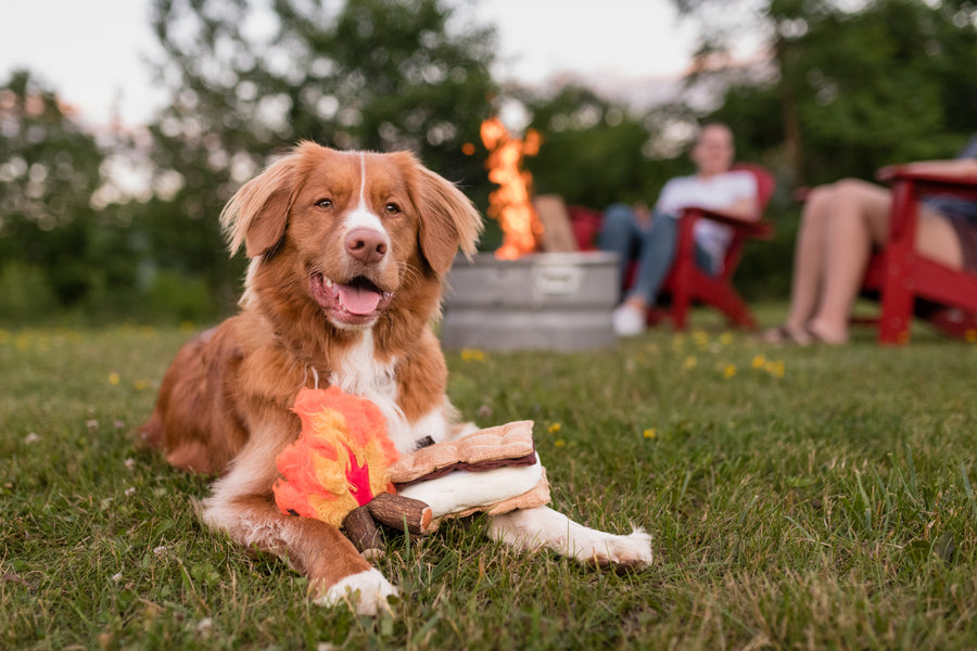 P.L.A.Y.'s Camp Corbin Collection Cozy Campire and Gimme Smores Toys pictured with dog sitting in front of a campfire