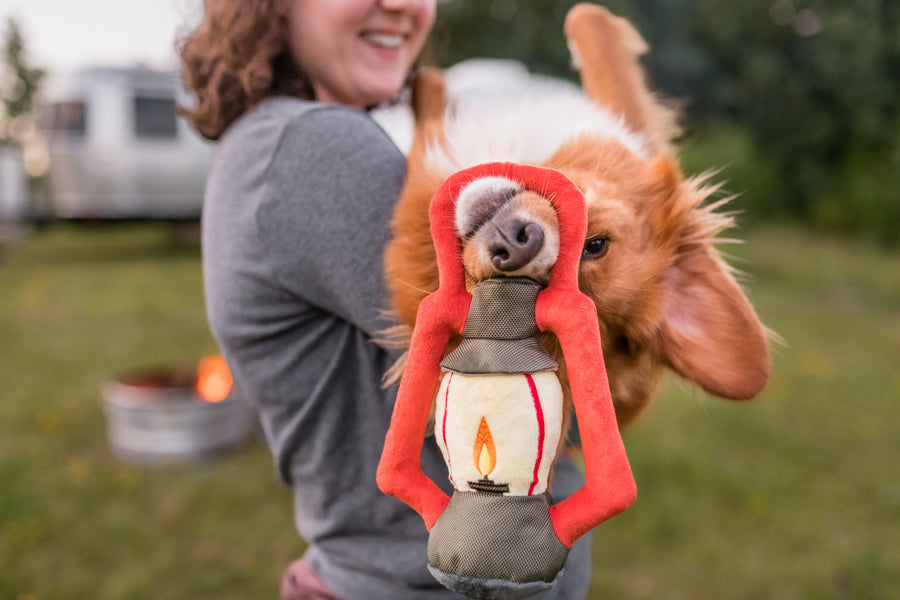 P.L.A.Y.'s Camp Corbin Collection Pack Leader Lantern hanging from the nose of an upside down dog in human's arms