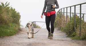 P.L.A.Y.'s Explorer Pack in Lava Red being worn around the waist of a woman holding her coffee and using hands-free leash feature while on a walk with her dog