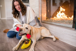 Camp Corbin Collection K9 Kayak Toy by P.L.A.Y. with lab holding paddle in mouth playing with mom in front of fire