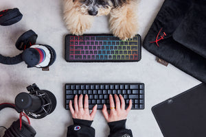 HyperX x P.L.A.Y. Collab - HyperX Keyboard with P.L.A.Y. Dog Keyboard with human and dog gaming with toys surrounding it