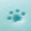Load image into Gallery viewer, P.L.A.Y. California Dreaming Memory Foam close up with pawprint
