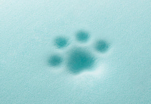 P.L.A.Y. California Dreaming Memory Foam close up with pawprint