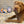 Load image into Gallery viewer, Gallery: Hanukkah Plush Toy Set PY7023AUF
