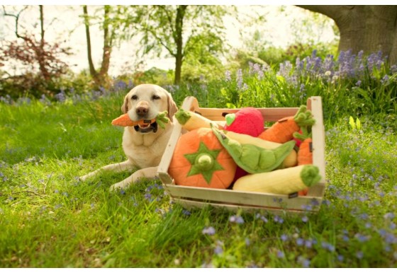 P.L.A.Y. Garden Fresh Apple Plush Dog Toy