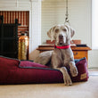 Load image into Gallery viewer, Houndstooth Lounge Bed in Cayenne Red
