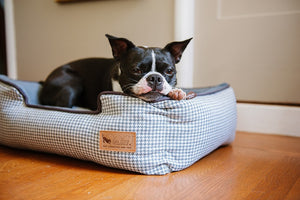 Gallery: Houndstooth Lounge Bed PY3011BSFHoundstooth Lounge Bed in Light Blue with Boston Terrier sleeping in it with chin on bolster
