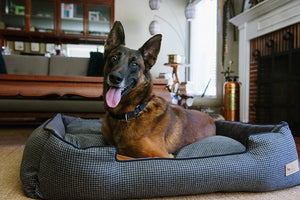 Houndstooth Lounge Bed in Shadow Gray with smiling dog laying in it