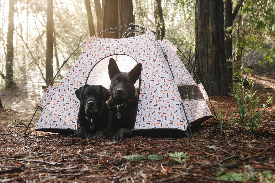 Scout & About Outdoor Dog Tent by P.L.A.Y. -  Vanilla colorway with two beautiful black dogs sitting in tent with heads looking at you