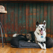 Load image into Gallery viewer, P.L.A.Y. California Dreaming Memory Foam Bed - Happy dog laying on Alcatraz Black 
