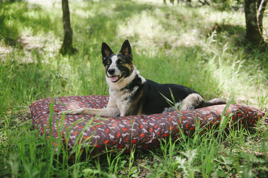 Gallery: Scout & About Outdoor Bed PY1017ASF