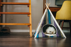 Gallery: Horizon Pet Teepee PY6011DUF