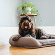 Load image into Gallery viewer, P.L.A.Y. California Dreaming Memory Foam Bed - Dog smiling on Big Sur Brown bed

