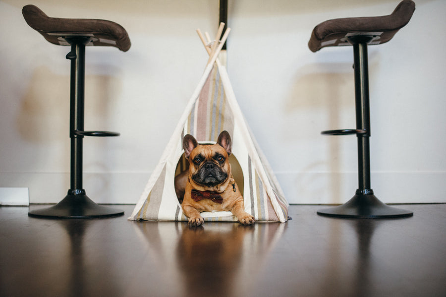 Gallery: Horizon Pet Teepee PY6011CUF