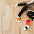 Load image into Gallery viewer, P.L.A.Y. Feline Frenzy Sassy Sushi Toy Set - lifestyle image with cat laying on a hardwood floor pawing at the orange roll with other two closeby
