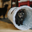 Load image into Gallery viewer, P.L.A.Y. Feline Frenzy Purr &amp; Pounce Cat Tunnel Savannah Ash Gray colorway with mixed tabby cat standing and looking out of the side of the tunnel
