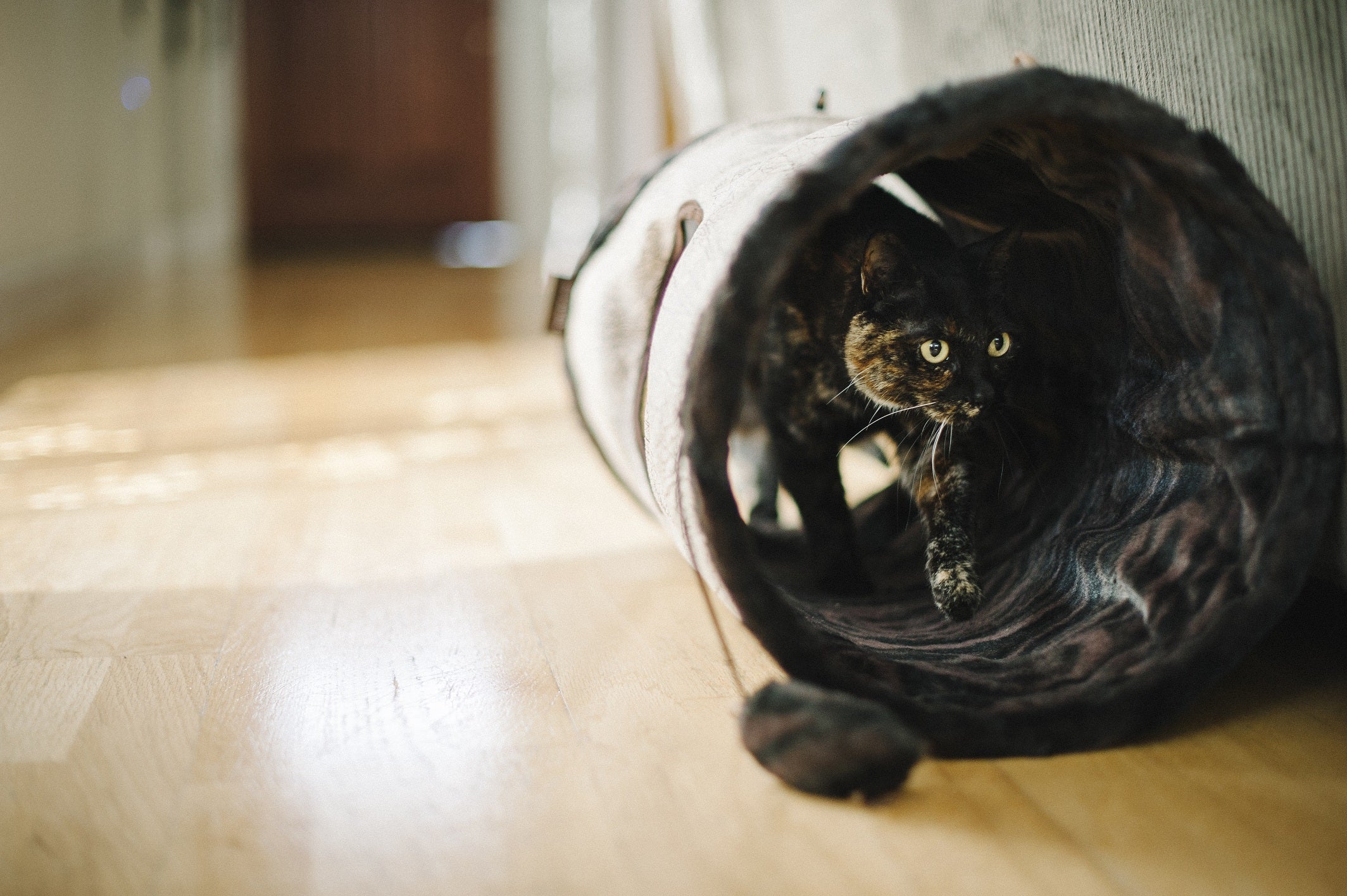 Luxury Cat Furniture The Purr & Pounce Cat Tunnel by P.L.A.Y.