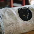 Load image into Gallery viewer, P.L.A.Y. Feline Frenzy Purr &amp; Pounce Cat Tunnel Savannah Ash Gray colorway with black cat peering out the circular cut out in the middle
