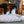 Load image into Gallery viewer, Gallery: Scout &amp; About Outdoor Bed PY1017BSF
