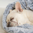 Load image into Gallery viewer, P.L.A.Y. Snuggle Bed - Husky Gray with close up of white Frenchie&#39;s head sleeping inside
