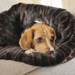 Load image into Gallery viewer, P.L.A.Y. Snuggle Bed - Truffle Brown small dog cuddling inside on a couch looking to the right
