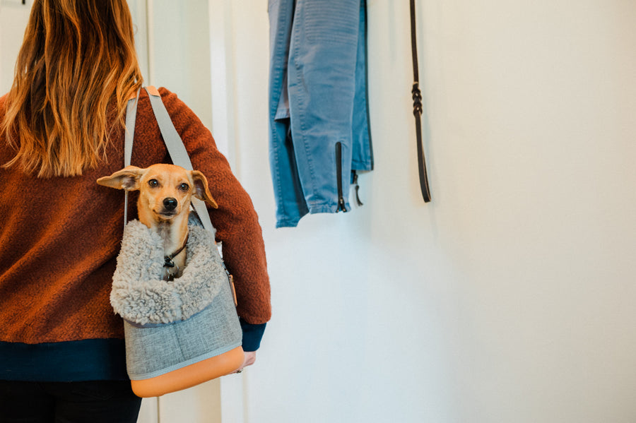 LeftPine x P.L.A.Y. Deluxe Dog Carrier with dog in Gray version being carried by dog mom