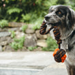 Load image into Gallery viewer, Gallery: Tug Ball Rope Toy PY7080ASF
