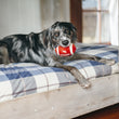 Load image into Gallery viewer, P.L.A.Y. Back To School Fido&#39;s Football Toy - black and gray fluffy dog sitting on plaid bunkbed with football in his mouth
