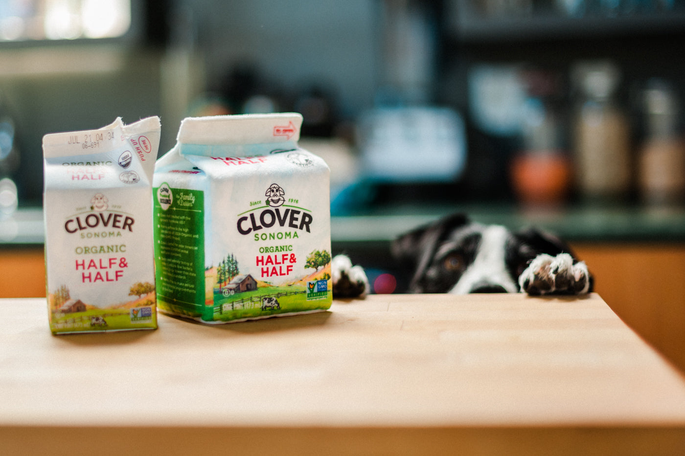 Milk Carton Plush Dog Toy, from P.L.A.Y. and Clover Sonoma