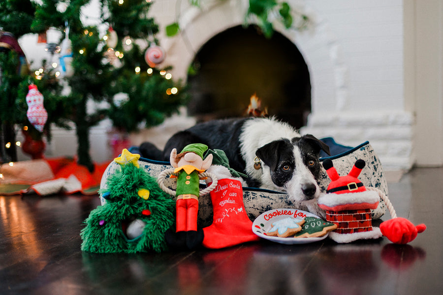 Merry Woofmas Toy Set with dog in P.L.A.Y. Lounge Bed in front of Christmas Tree and fire place