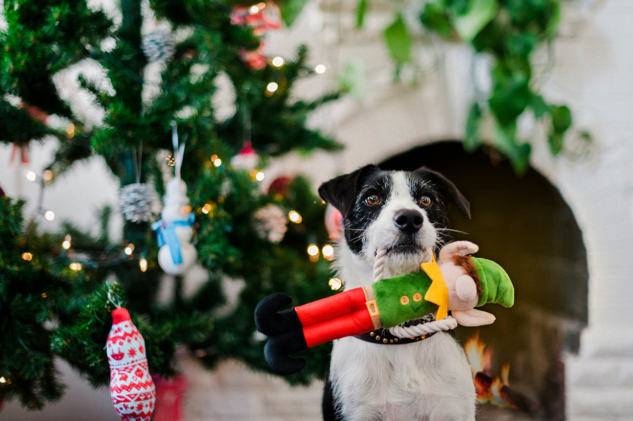 Merry Woofmas Collection Santa's Little Elf-er Toy in dog's mouth in front of Christmas tree