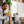 Load image into Gallery viewer, P.L.A.Y. Hollywoof Cinema Hoppy Hound Brew Toy - dog dad holding a beer and the beer toy presenting to a white small dog looking up smiling back

