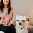Load image into Gallery viewer, P.L.A.Y. Hollywoof Cinema 3-Dog Glasses Toy - white dog wearing the toy on his face with dog mom smiling with popcorn box on the couch to the side
