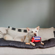 Load image into Gallery viewer, P.L.A.Y. Canine Commute Lickety-Split Bus - white dog laying on couch with head propped up on roof of the bus toy deep in thought about playtime

