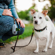 Load image into Gallery viewer, Proper Pup Poop Bag Dispensers from P.L.A.Y. - Houndstooth Light Blue on leash with white dog and human kneeling down
