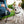 Load image into Gallery viewer, Proper Pup Poop Bag Dispensers from P.L.A.Y. - Houndstooth Light Blue on leash with white dog and human kneeling down
