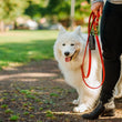 Load image into Gallery viewer, Proper Pup Poop Bag Dispensers from P.L.A.Y. - Tweed Black dispenser hooked to red leash with fluffy white dog and human holding the leash
