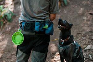 P.L.A.Y.'s Explorer Pack in Waterfall Blue around the waist of a man and dog looking up at him