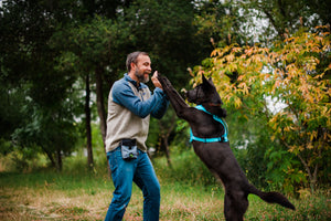 Landscape Series Deluxe Training Pouch in Eclipse - man wearing on belt loop high-fiving his beautiful black dog with both hands