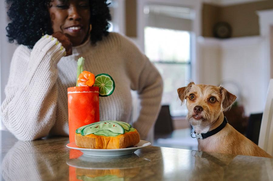 Barking Brunch Collection by P.L.A.Y. dog sitting at counter with mom