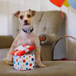 Load image into Gallery viewer, P.L.A.Y. Party Time Pawfect Present Toy in front of small dog&#39;s paws sitting on an ottoman

