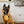 Load image into Gallery viewer, Barking Brunch Collection by P.L.A.Y. Chicken &amp; Woofles Toy with chicken leg dangling from dog&#39;s mouth in kitchen
