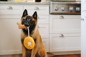 Barking Brunch Collection by P.L.A.Y. Chicken & Woofles Toy with chicken leg dangling from dog's mouth in kitchen