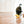 Load image into Gallery viewer, Barking Brunch Collection by P.L.A.Y. Benny&#39;s Benedict Toy small black dog playing with it in kitchen
