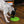 Load image into Gallery viewer, P.L.A.Y. ZoomieRex EverLick Mat -  Dog eating from Small Avocado green mat
