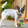 Load image into Gallery viewer, P.L.A.Y. 90s Classics - Dog with paw on Kickflippin&#39; K9 Skateboard Toy outside
