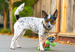 P.L.A.Y. 90s Classics - Dog with paw on Kickflippin' K9 Skateboard Toy outside