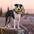 Load image into Gallery viewer, P.L.A.Y. 90s Classics - Dog with Kickflippin&#39; K9 Skateboard Toy in mouth on top of skate park wall
