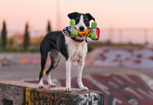 P.L.A.Y. 90s Classics - Dog with Kickflippin' K9 Skateboard Toy in mouth on top of skate park wall