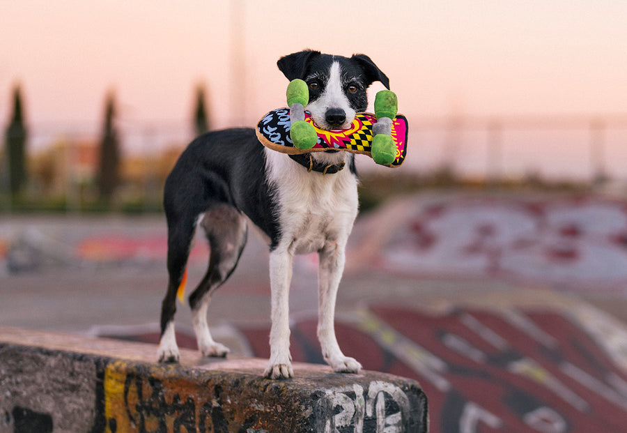 P.L.A.Y. 90s Classics - Dog with Kickflippin' K9 Skateboard Toy in mouth on top of skate park wall